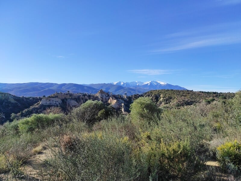 Paysage naturel avec des collines, des arbres et des montagnes enneigées au loin sous un ciel bleu clair.