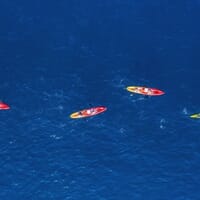 avis Location de Kayak à Gruissan - Étang des Ayguades
