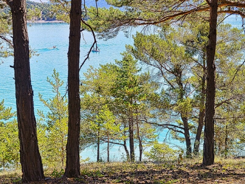 lac de serre ponçon vu des bois