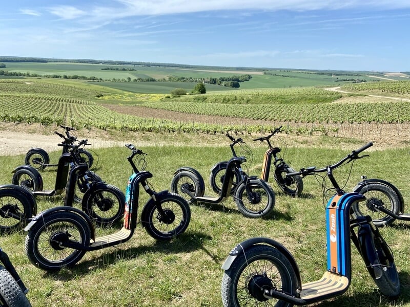 Groupe de trottinettes électriques dans un près devant des vignes