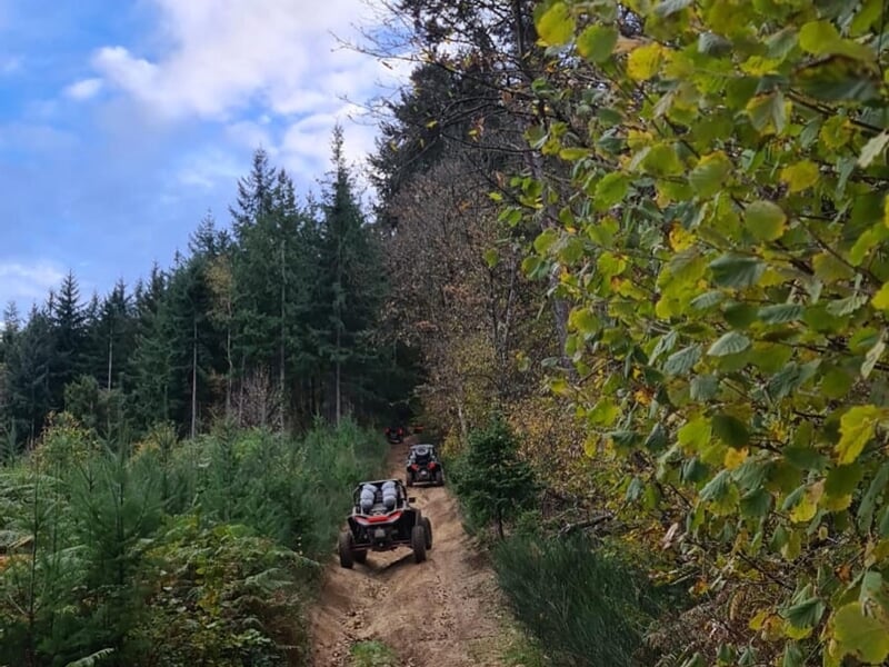 balade en buggy en forêt