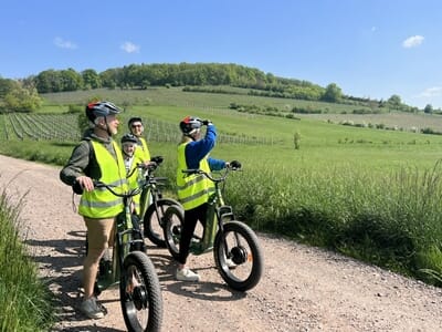 Randonnée en Trottinette Électrique Tout-Terrain près de Strasbourg - Obernai