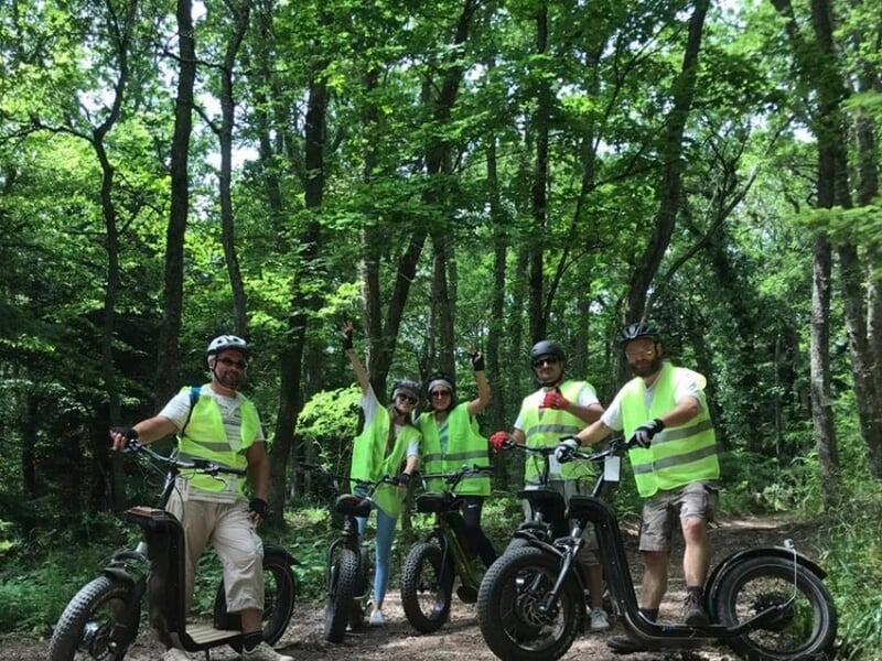 5 personnes en trottinette électrique en forêt.