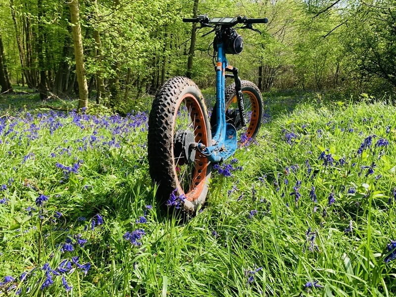 Trottinette électrique tout-terrain bleue avec pneus larges dans un champ de fleurs violettes en forêt au printemps.