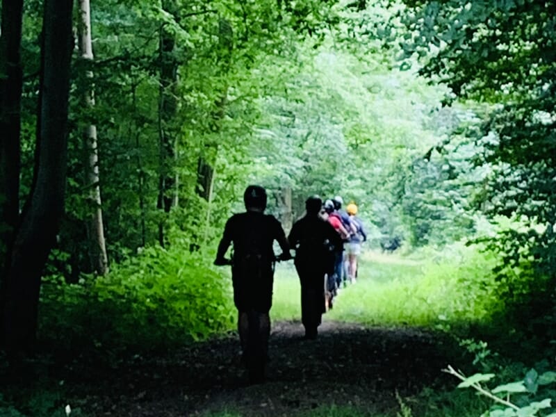 Silhouettes de plusieurs personnes marchant en file indienne sur un sentier forestier entouré de verdure dense.