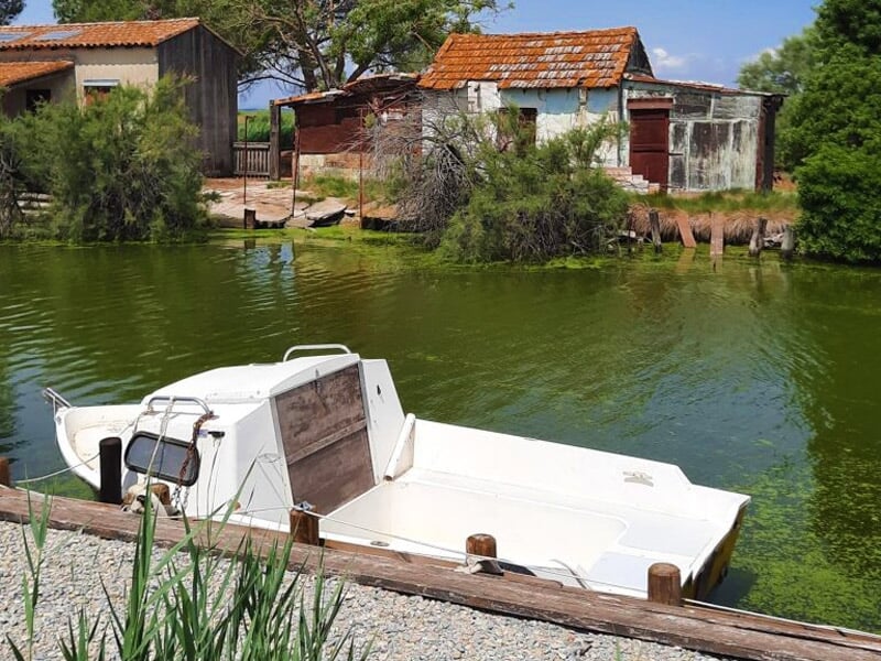 les berges du Vidourle
