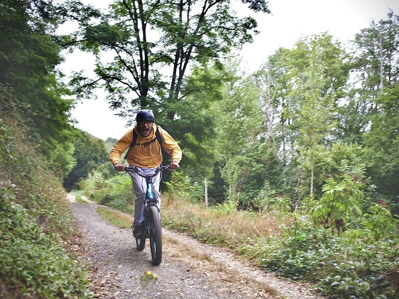 faire le plein de découvertes au cœur des sous-bois en trott