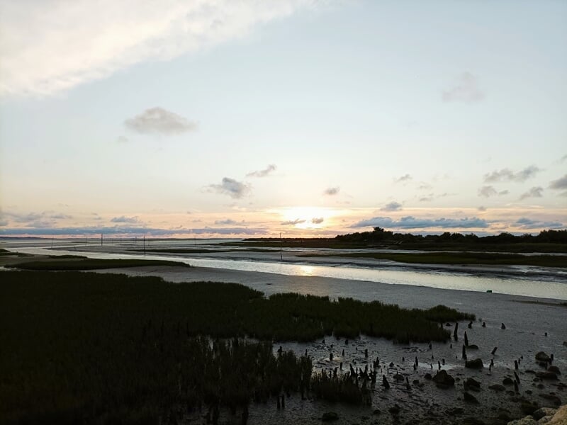 Paysage au coucher du soleil avec marais, eau calme, végétation dense et ciel partiellement nuageux