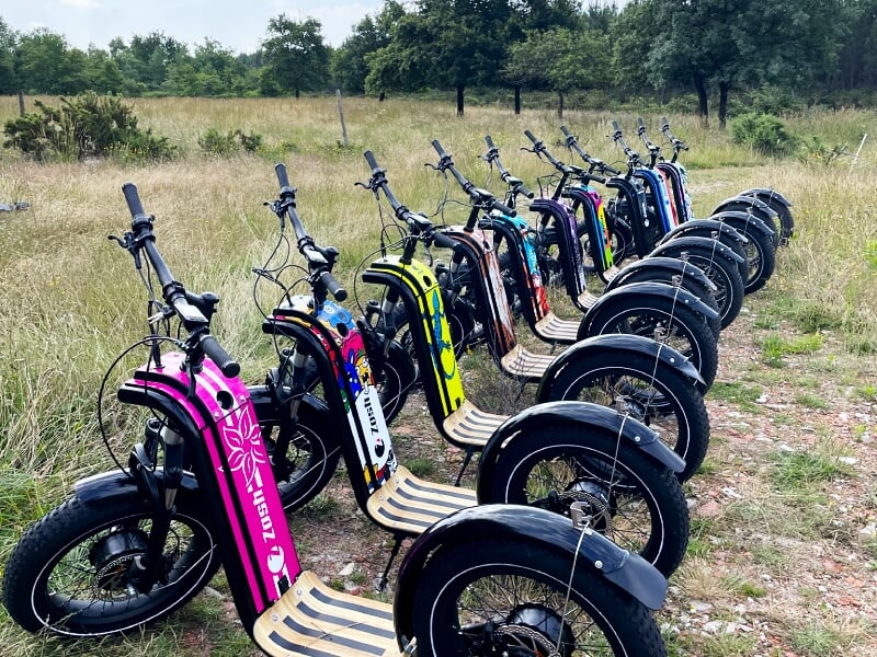 Alignement de trottinettes électriques colorées avec pneus larges sur un chemin en pleine nature verte et boisée.