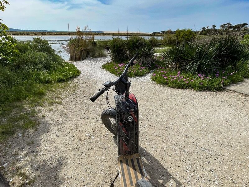 Trottinette électrique noire garée sur un chemin de gravier entouré de végétation verte et fleurs violettes près d'un plan d'eau