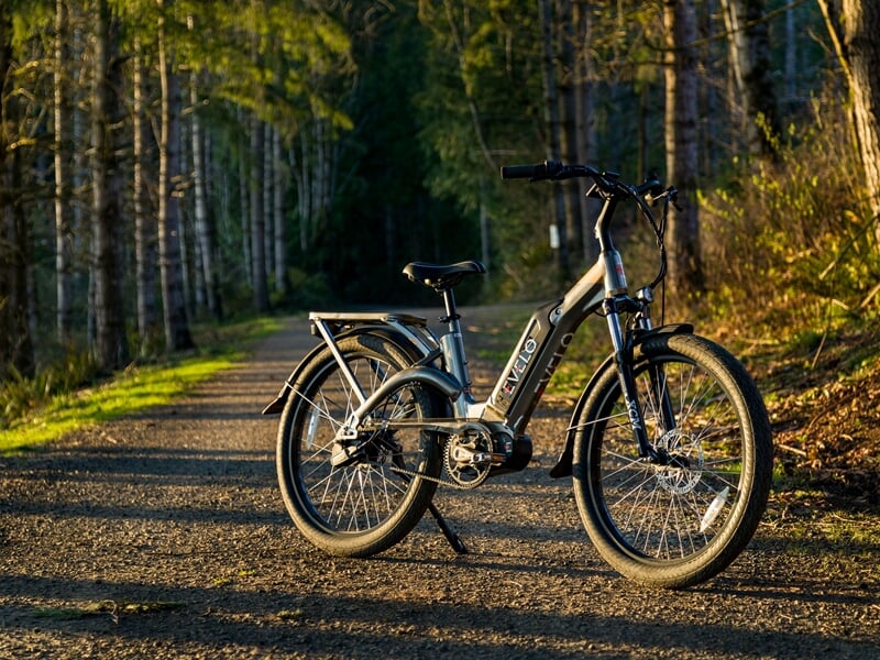 vélo électrique sur chemin de foret