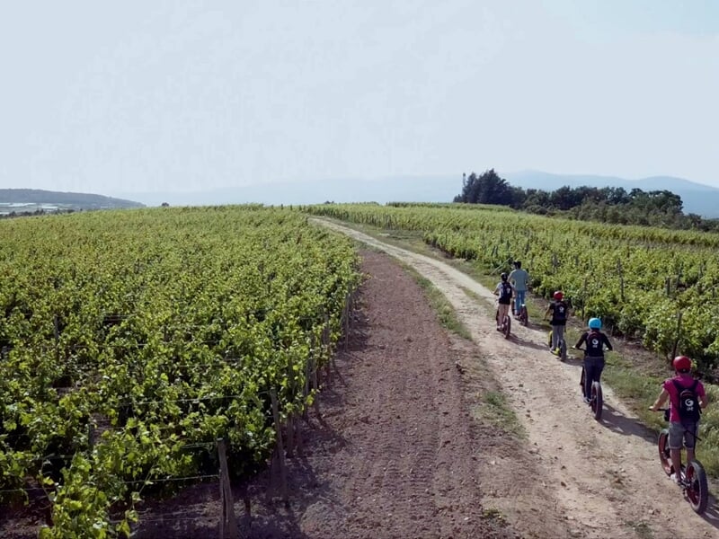 quatre personnes en trottinette électrique sur un chemin un milieu des vignes