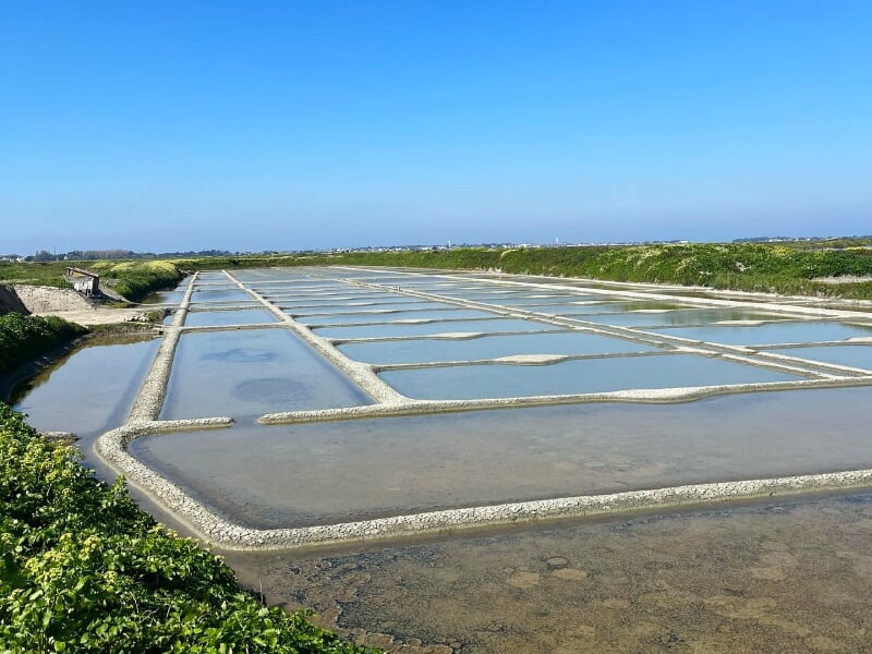Marais salants du Pouliguen sous un ciel bleu clair, avec des bassins d'évaporation d'eau salée bien délimités.