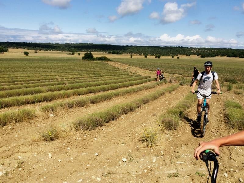 randonnée en trottinette électrique dans les lavandes près d'uzès