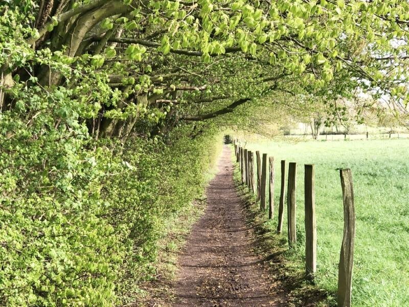 superbe chemin de campagne de la pévèle près de lille