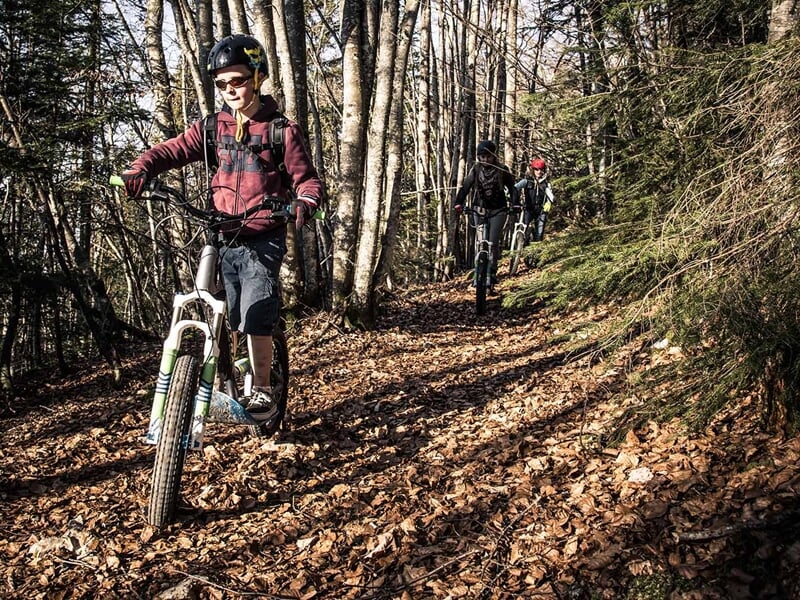 Jeunes en trottinettes électriques sur un sentier forestier couvert de feuilles en automne, sous un ciel clair.