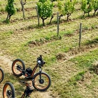 avis Randonnée en Trottinette Électrique Tout-Terrain près de Bordeaux - Bommes