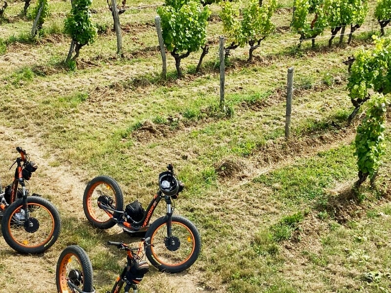 trottinettes électriques tout-terrain dans les vignes près de bordeaux