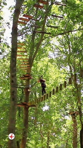 Accrobranche près de Bordeaux - Bommes