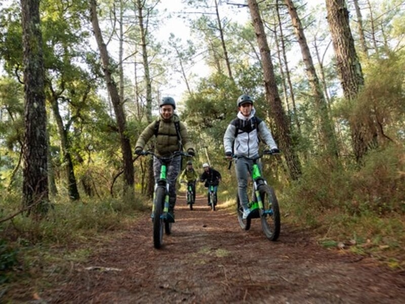 4 personnes en trottinette électrique dans la forêt