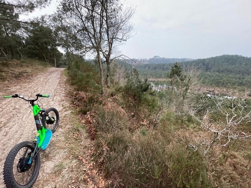 trottinette électrique sur chemin dans la nature des landes