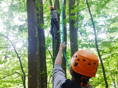 Grimpe d'Arbre / Accrobranche Itinérante près d'Yzeron