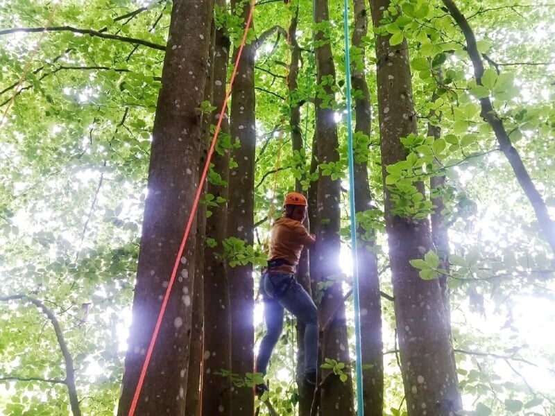 descente en rappel du haut d'un arbre près de givors
