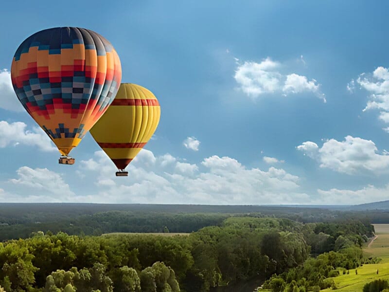 deux montgolfières survolent les forêts bourguignones