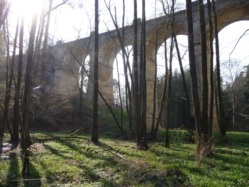 Viaduc en pierre traversant une forêt avec des arbres et un sol herbeux éclairé par le soleil.