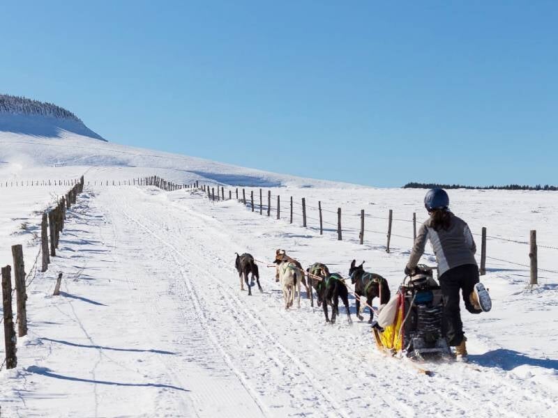 baptême de chiens de traîneaux sur la neige près de clermont-ferrand