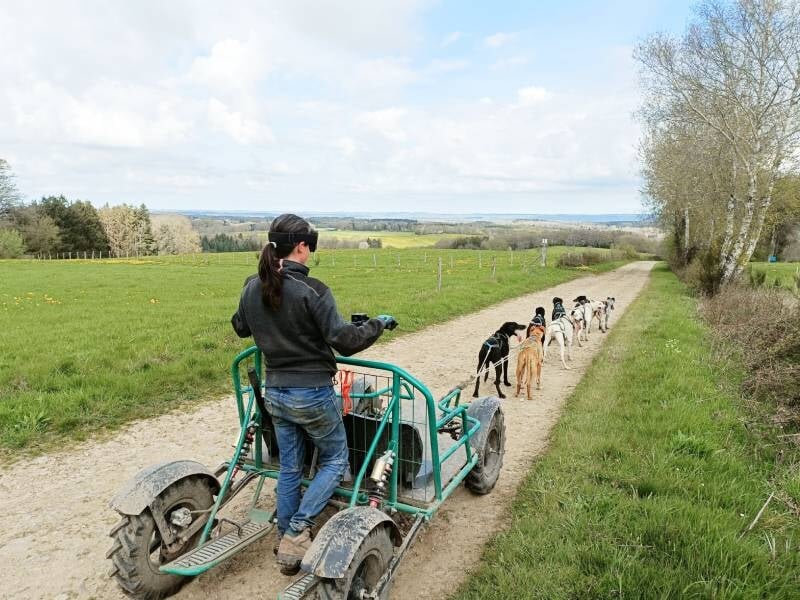 baptême de cani-kart en auvergne-rhône-alpes près de clermont-ferrand
