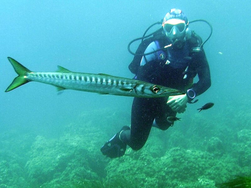 Personne pratiquant la plongée sous-marine