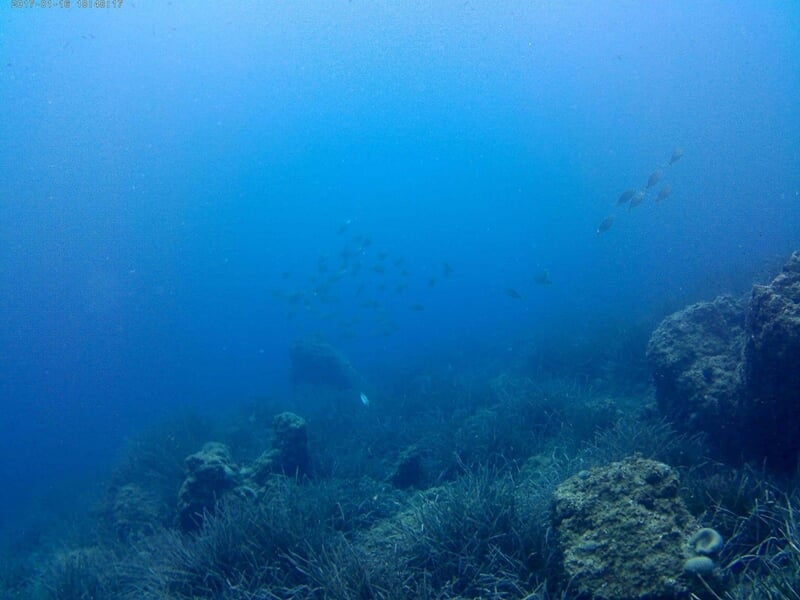 Fonds marins