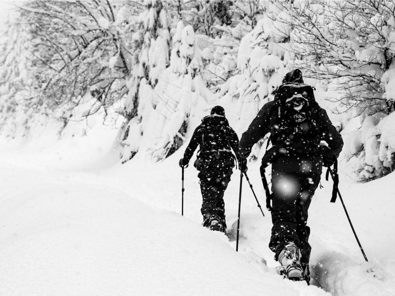 Deux randonneurs en splitboard marchant dans une forêt enneigée, la neige tombant doucement autour d'eux