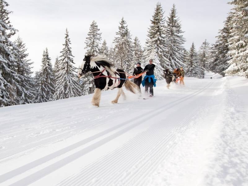 découverte du ski joering à la station d'avoriaz en haute-savoie