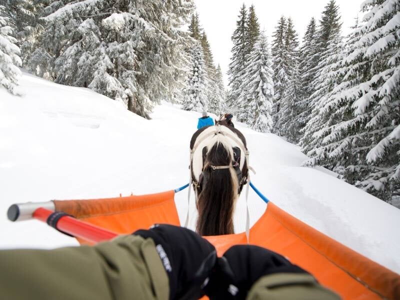balade à ski avec un cheval à la station d'avoriaz