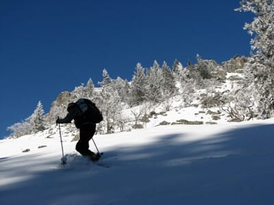 Randonnée en Raquettes à Neige au Ballon d'Alsace - Initiation Sécurité en Montagne Hivernal