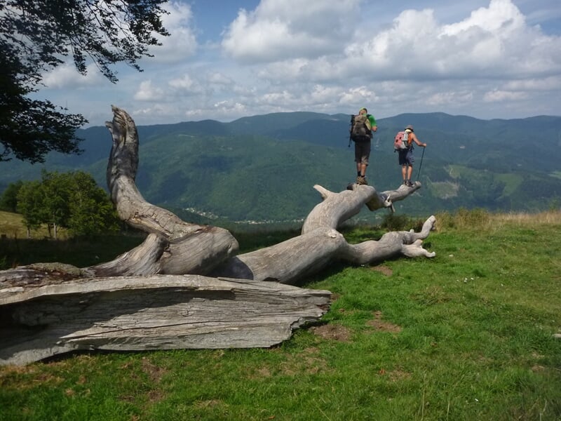 randonnée en montagne