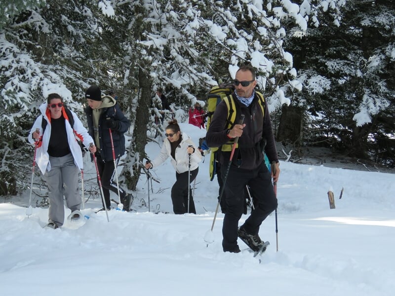 groupe de personne pratiquant les raquettes