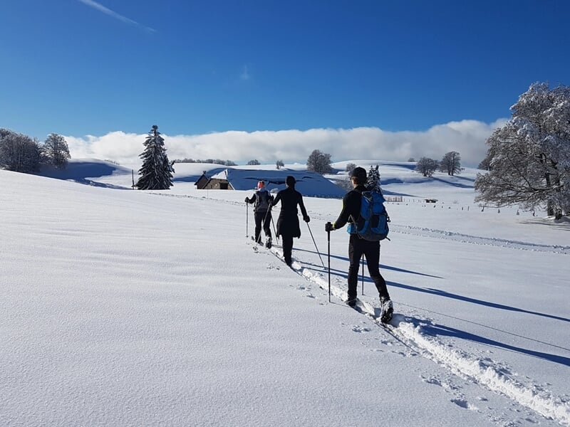 trois personnes en raquettes à neige