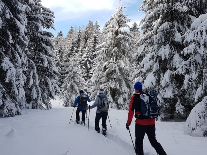 groupe de personnes en randonnée dans la neige