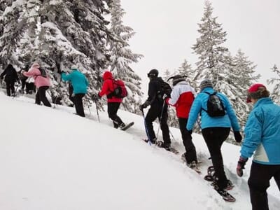 Randonnée en Raquettes dans la Vallée de Chamonix