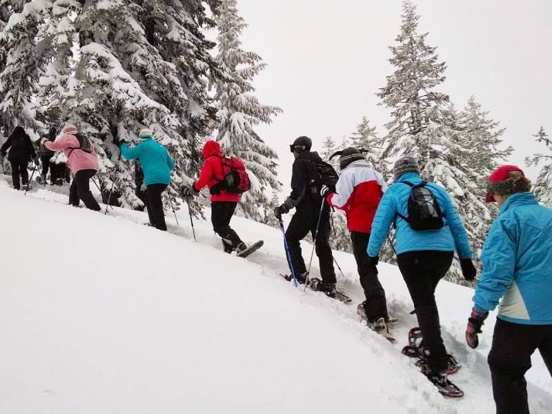 groupe de randonneurs en raquettes à neige dans la vallée de chamonix en montagne