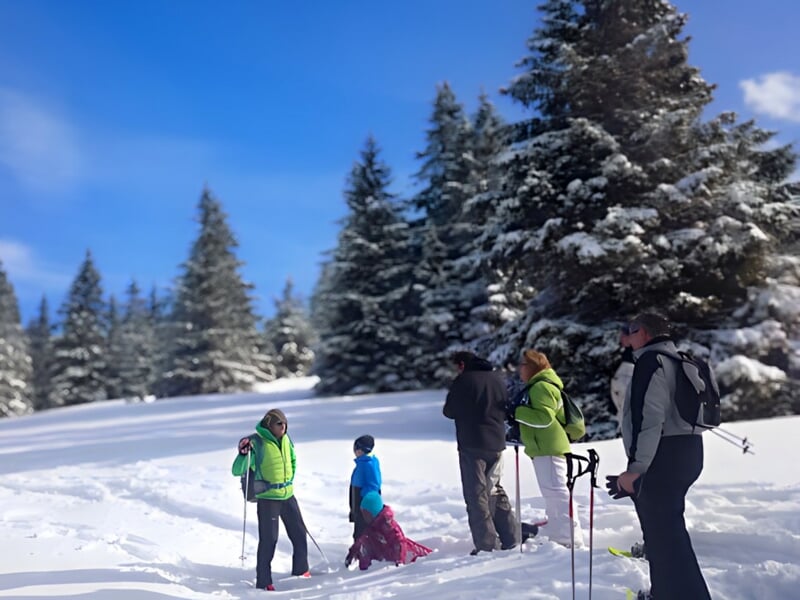 un groupe de randonneurs en raquette faisant une pause dans un paysage enneigé avec des sapins en arrière plan