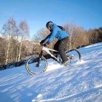 avis Descente en VTT sur Neige au Domaine des 2 Alpes