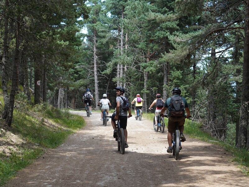 Groupe de cyclistes en VTT électrique roulant sur un chemin forestier entouré de pins dans une ambiance estivale paisible.