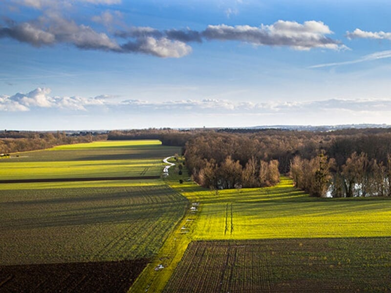 Vue aérienne d'une campagne avec des champs verts et marron, une forêt en arrière-plan et un ciel bleu avec des nuages.