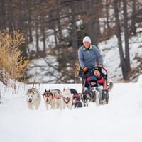avis Balade en Chiens de Traîneaux à Isola 2000