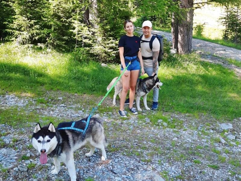 jeune couple en cani-rando avec des chiens de races nordiques à brion près de poitiers