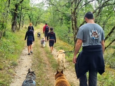 Cani-Kart et Cani-Rando près de Cahors - Esclauzels